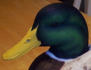 Mallard Carving