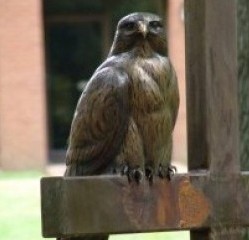 Redtail Hawk on a Cross