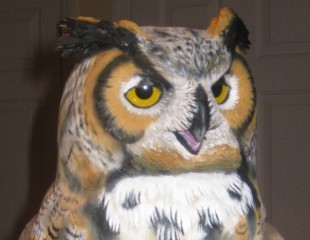 Great Horned Owl