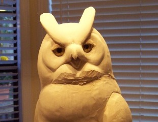 Owl in Progress